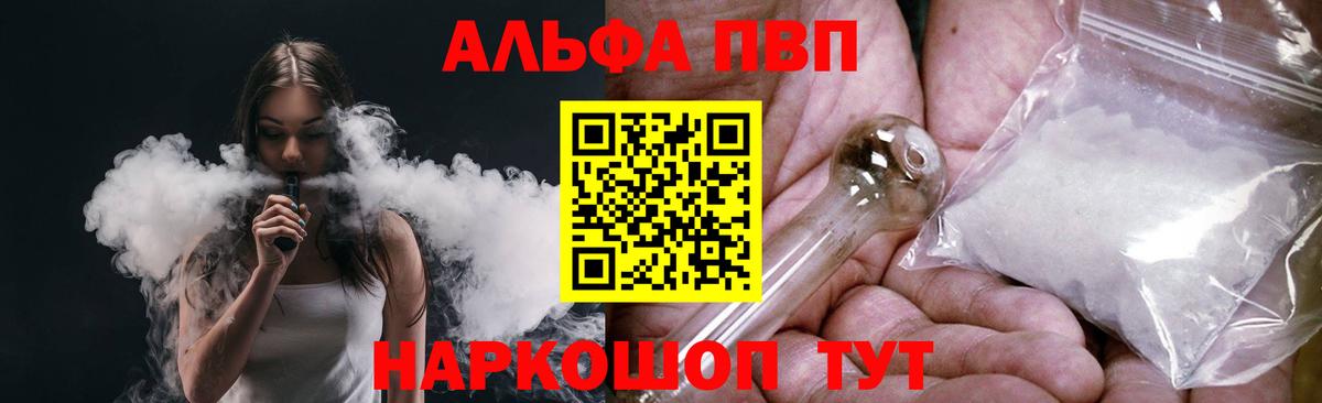 Альфа ПВП СК КРИС Гудермес