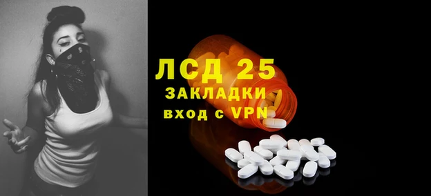 прущие грибы Арсеньев