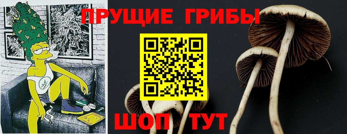 Галлюциногенные грибы мицелий  Гудермес 