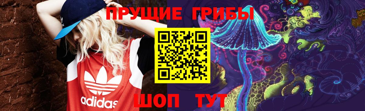 Гудермес  Галлюциногенные грибы Cubensis  Вход с VPN 