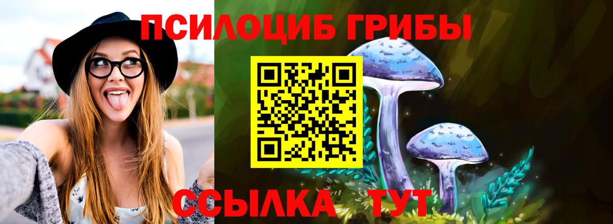 Псилоцибиновые грибы Magic Shrooms Гудермес